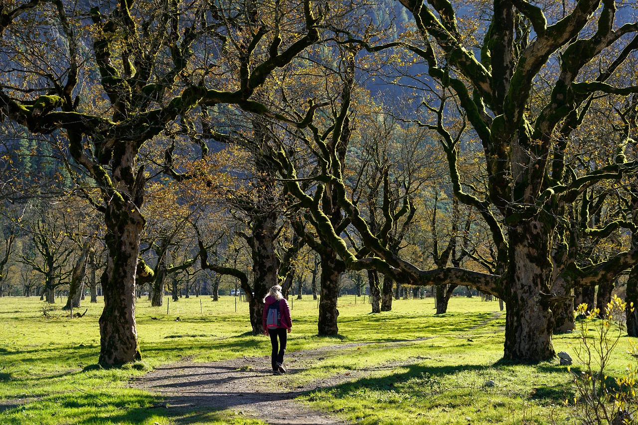 découvrez tout ce qu'il faut savoir sur le backpacking : conseils, destinations incontournables, astuces pour voyager léger et vivre une aventure inoubliable autour du monde.