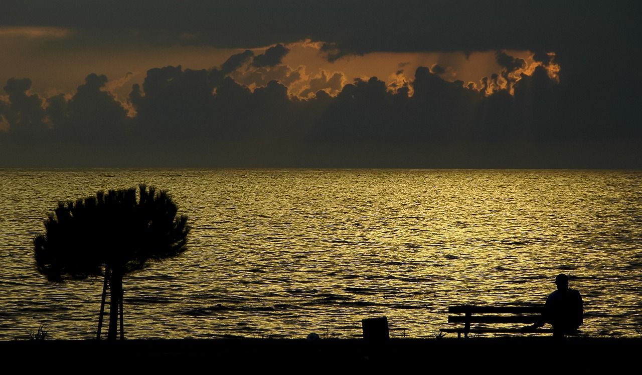 découvrez la plage secrète, un havre de paix idyllique où la nature préservée vous invite à la détente loin des foules.