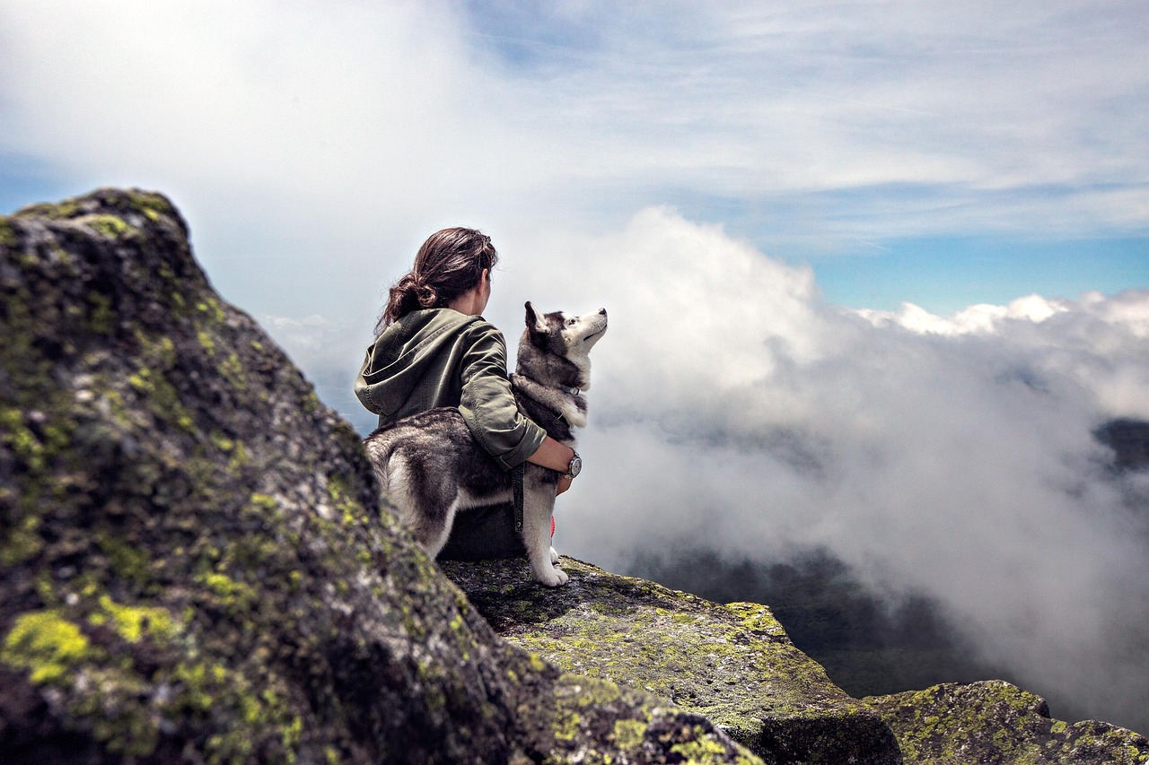 découvrez les essentiels du backpacking : conseils, itinéraires et équipements pour une aventure en sac à dos inoubliable à travers le monde.