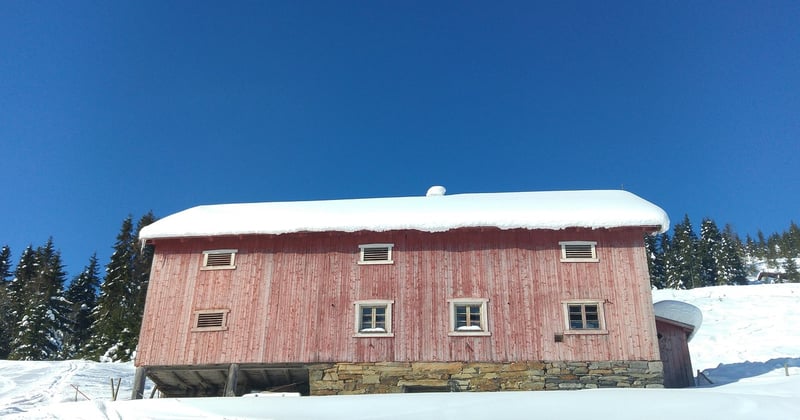 Dormir dans une ferme traditionnelle norvégienne : l’escapade rustique qui change tout