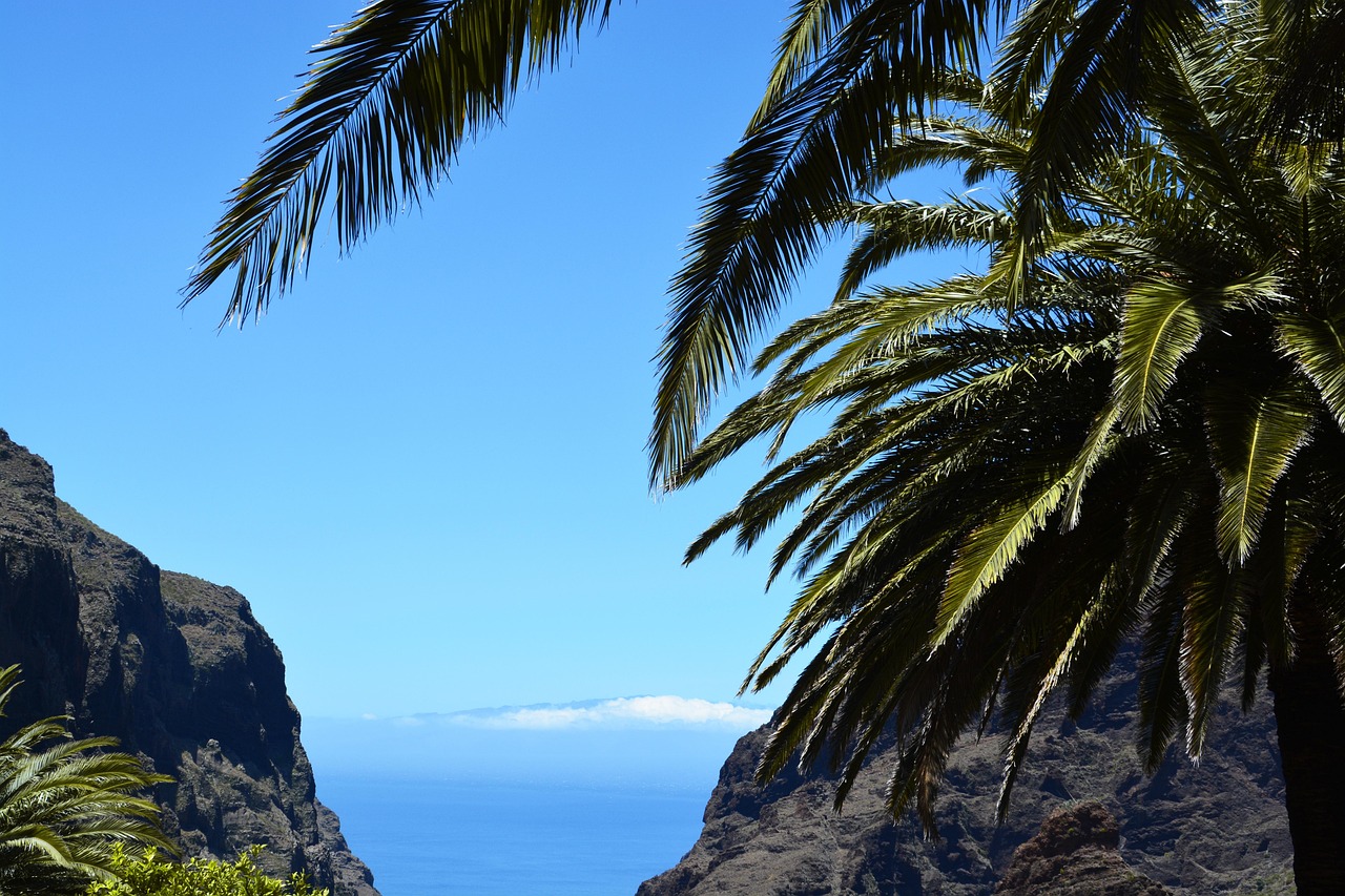 Explorer une plage paradisiaque méconnue : nos destinations secrètes à découvrir en 2025
