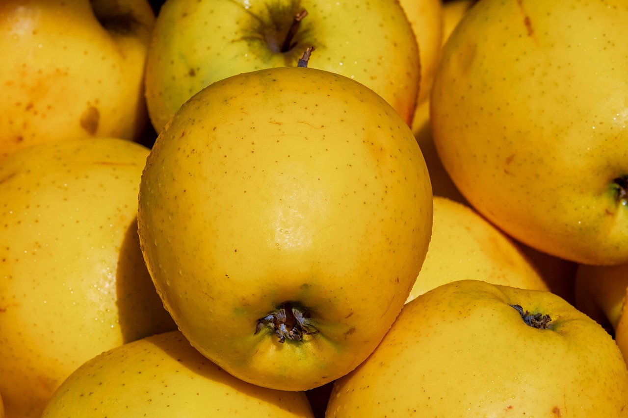 découvrez les marchés alimentaires où la diversité culinaire prend vie. savourez des produits frais, des spécialités locales et des délices du monde entier, tout en profitant d'une atmosphère conviviale et dynamique.