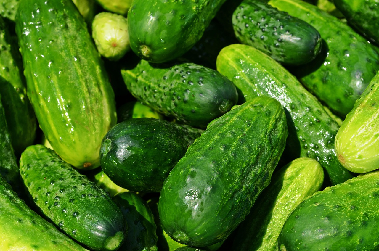 découvrez l'authenticité des marchés alimentaires où saveurs locales et produits frais s'unissent. explorez une variété de stands colorés proposant fruits, légumes, spécialités artisanales et délices culinaires. plongez dans l'ambiance conviviale et vibrante de ces marchés, idéal pour les gourmets et les curieux.