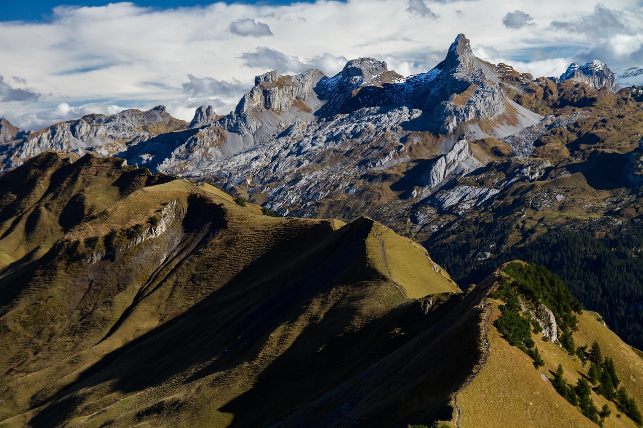 découvrez les meilleurs sentiers de randonnée à travers des paysages époustouflants. que vous soyez un randonneur débutant ou expérimenté, trouvez l'itinéraire parfait pour votre aventure en plein air. explorez la nature, respirez l'air frais et profitez d'une expérience inoubliable en pleine nature.