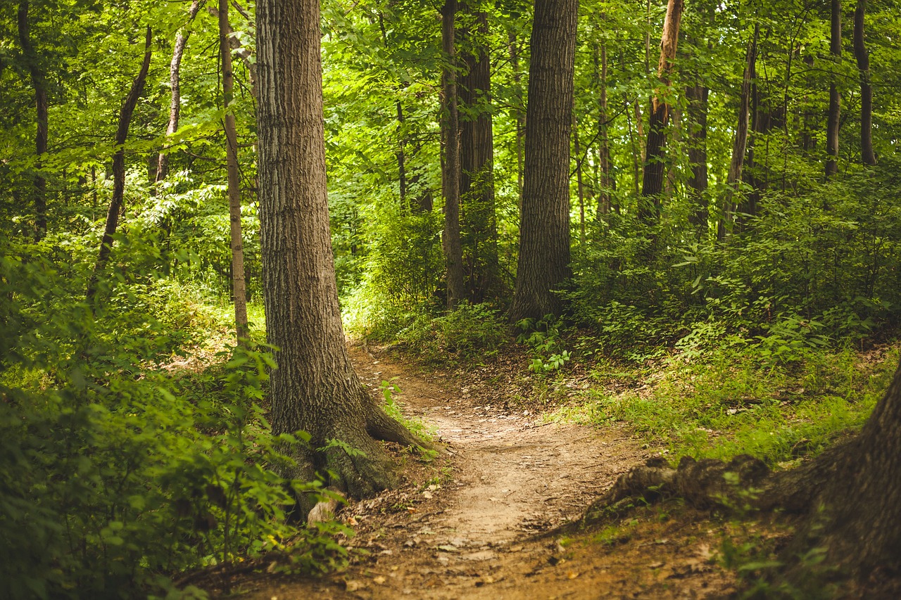 découvrez les meilleurs sentiers de randonnée à travers des paysages époustouflants. parfait pour les passionnés de nature, nos parcours variés s'adaptent à tous les niveaux. préparez-vous à vivre des aventures inoubliables en pleine nature.