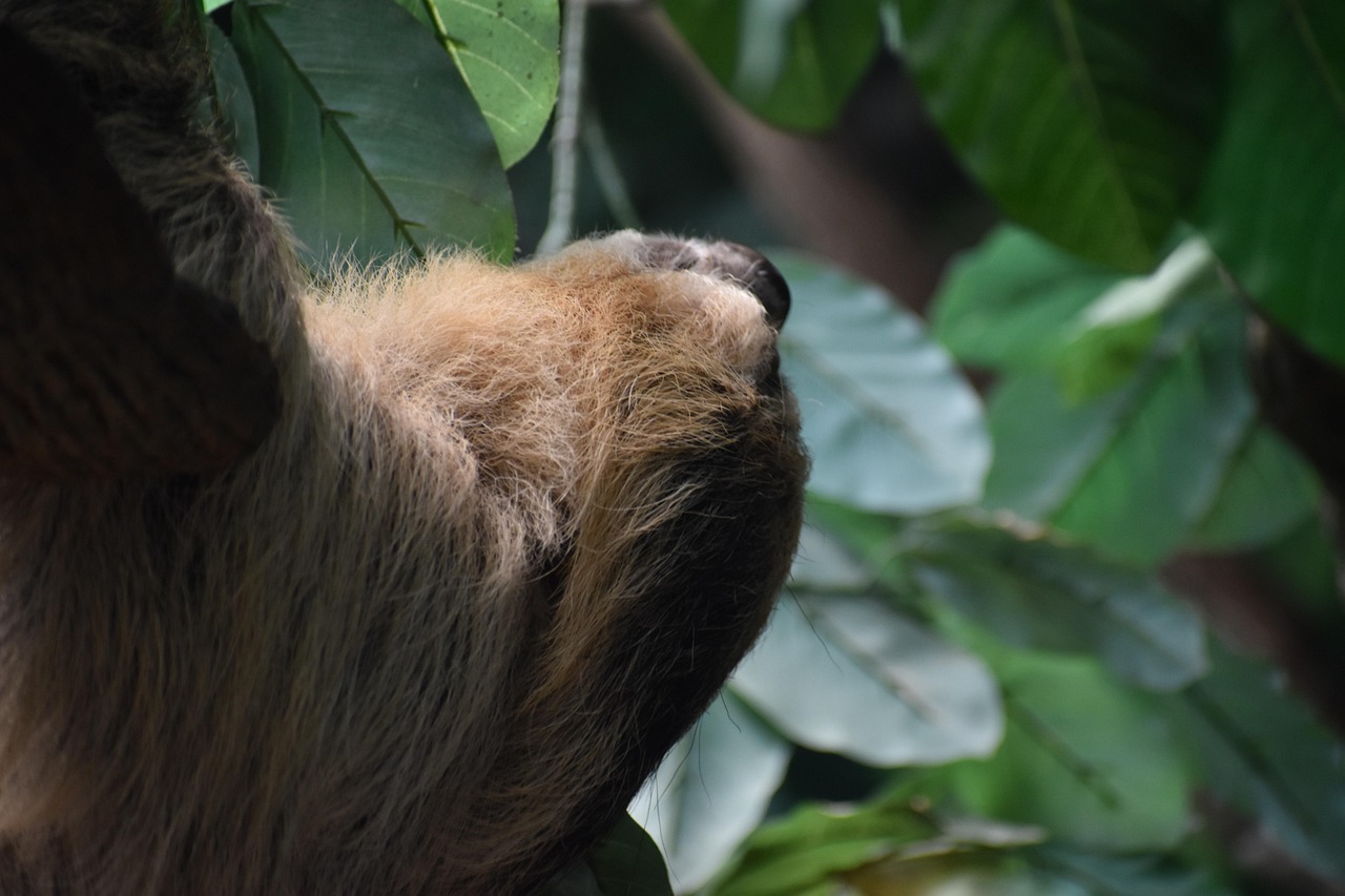 découvrez le slow travel : une façon de voyager à un rythme détendu, en privilégiant l’authenticité, la rencontre et la préservation de l’environnement. adoptez des expériences uniques et responsables !