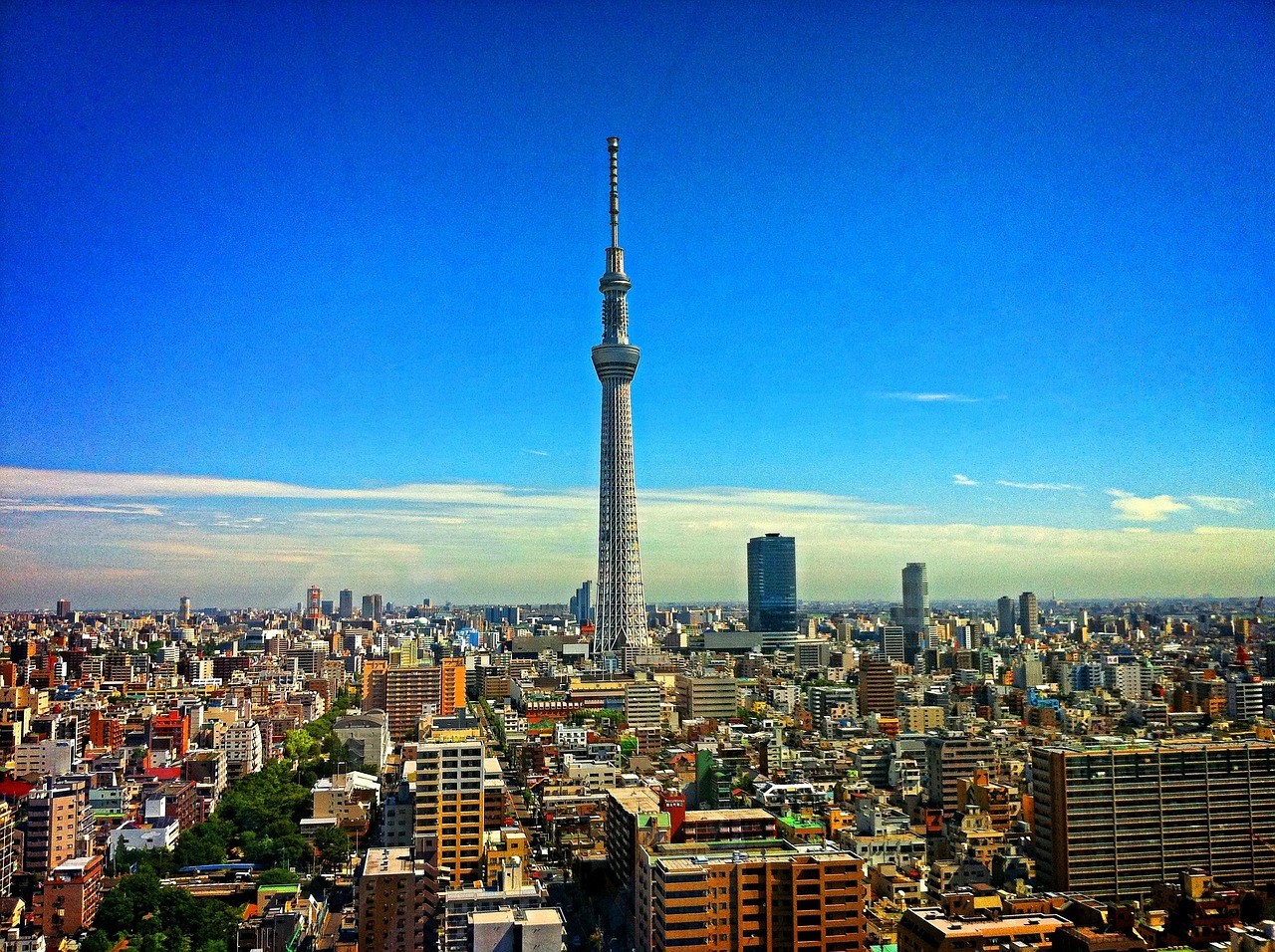 découvrez tokyo, la capitale vibrante du japon : entre modernité, traditions, culture culinaire renommée et quartiers animés, explorez une ville fascinante aux mille facettes.