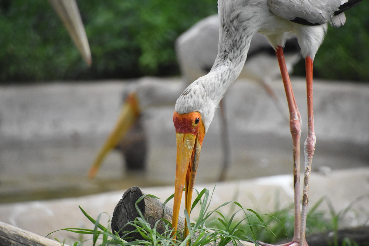 découvrez nos conseils pratiques pour bien profiter d’une longue escale et rendre votre attente agréable et confortable.